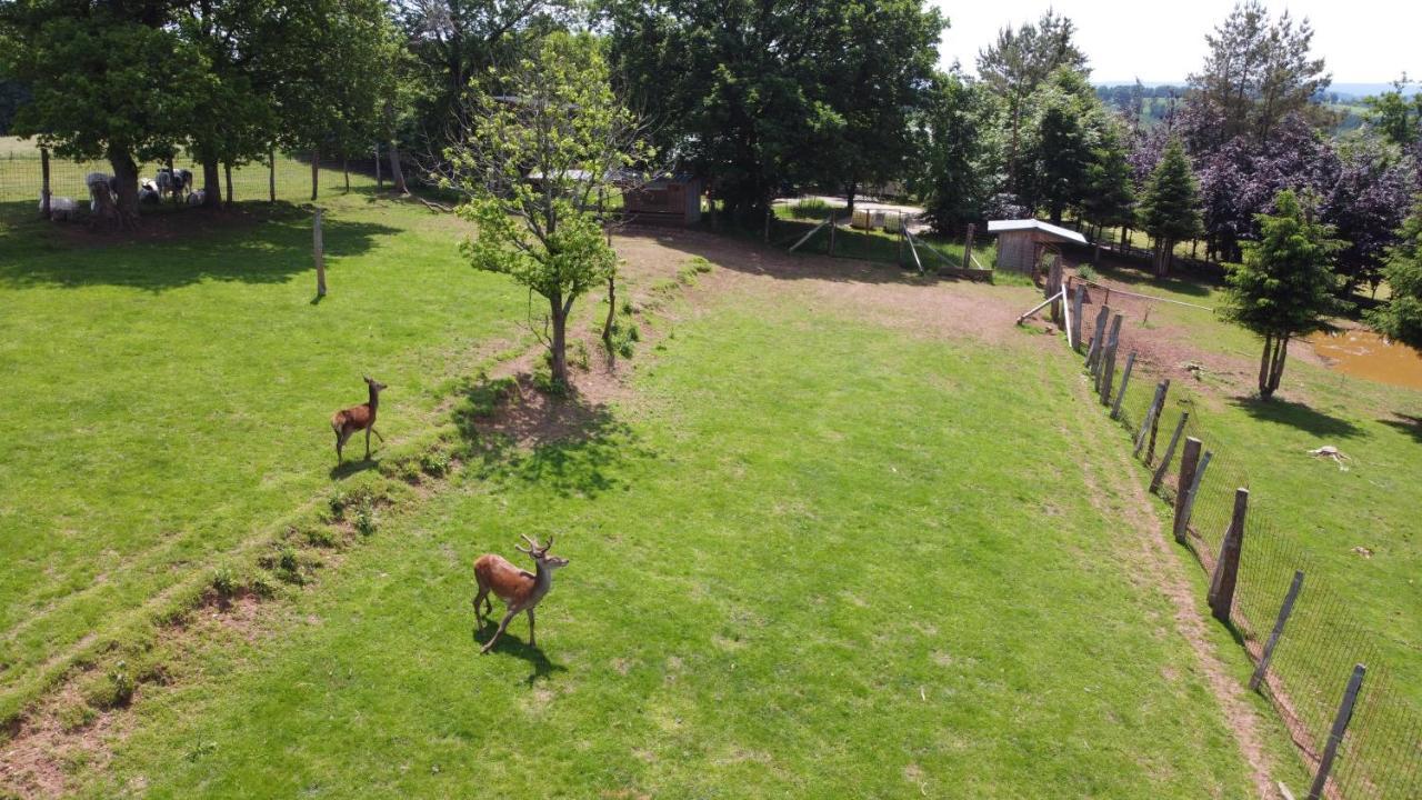 Villa Brochepierre 28 Pers- Vue Exceptionnelle - Malmedy Exterior foto